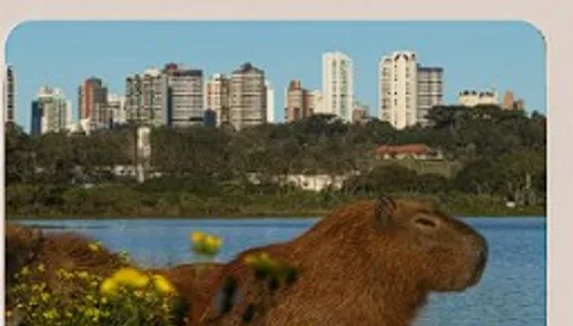 Parque Barigui, Curitiba